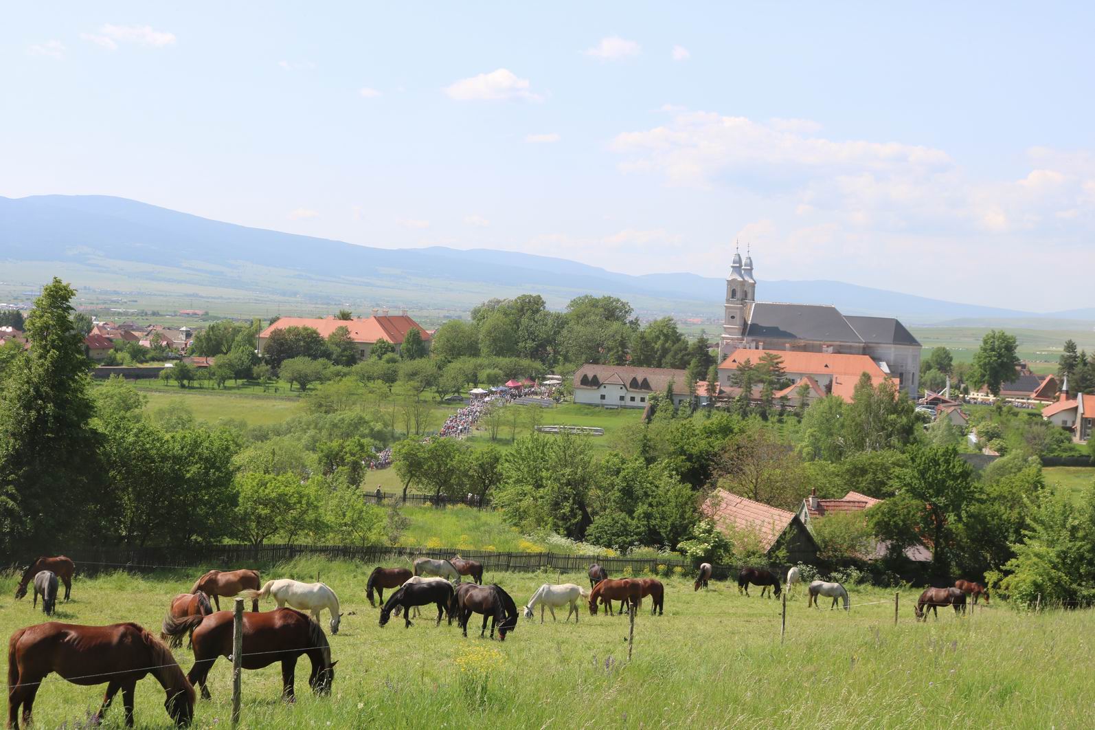 Csiksomlyo_Resize of IMG_7229 Csiksomlyo_Resize of IMG_7229