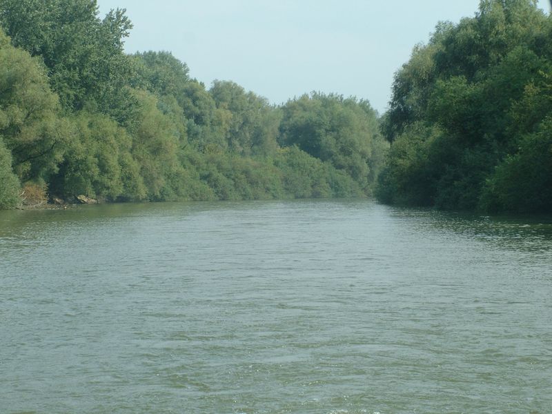 kicsi-form-DSCF7923 kicsi-form-DSCF7923